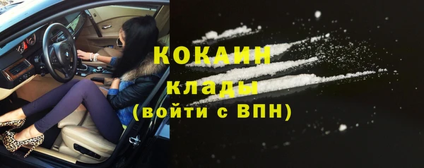 твердый Горнозаводск