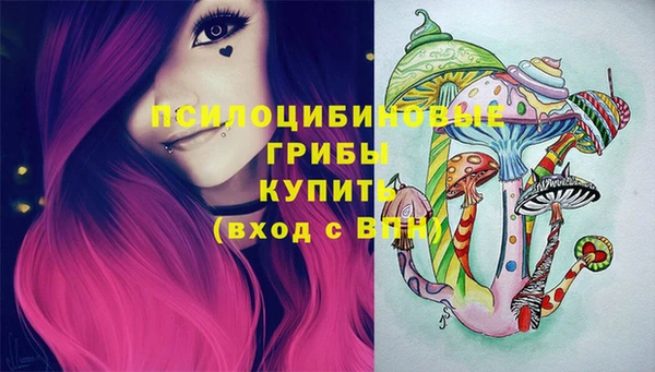 твердый Горнозаводск
