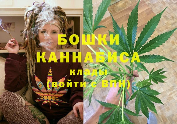 твердый Горнозаводск