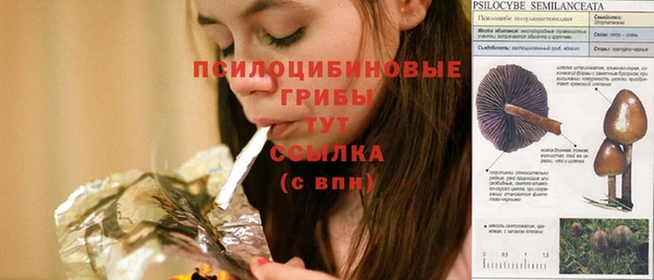 твердый Горнозаводск