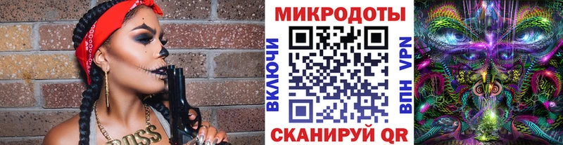 Купить где  Курчатов  Псилоцибиновые грибы MAGIC MUSHROOMS 