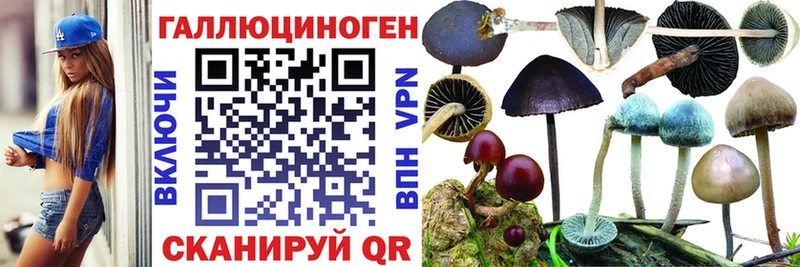 Псилоцибиновые грибы GOLDEN TEACHER Курчатов